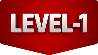 Level 1