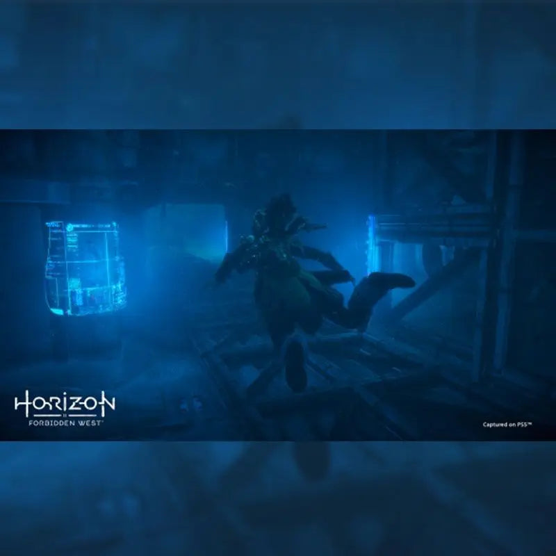 Horizon Forbidden West - Jogo Original Licenciado para PS4 e PS5 - CD Novo com Suporte em Russo