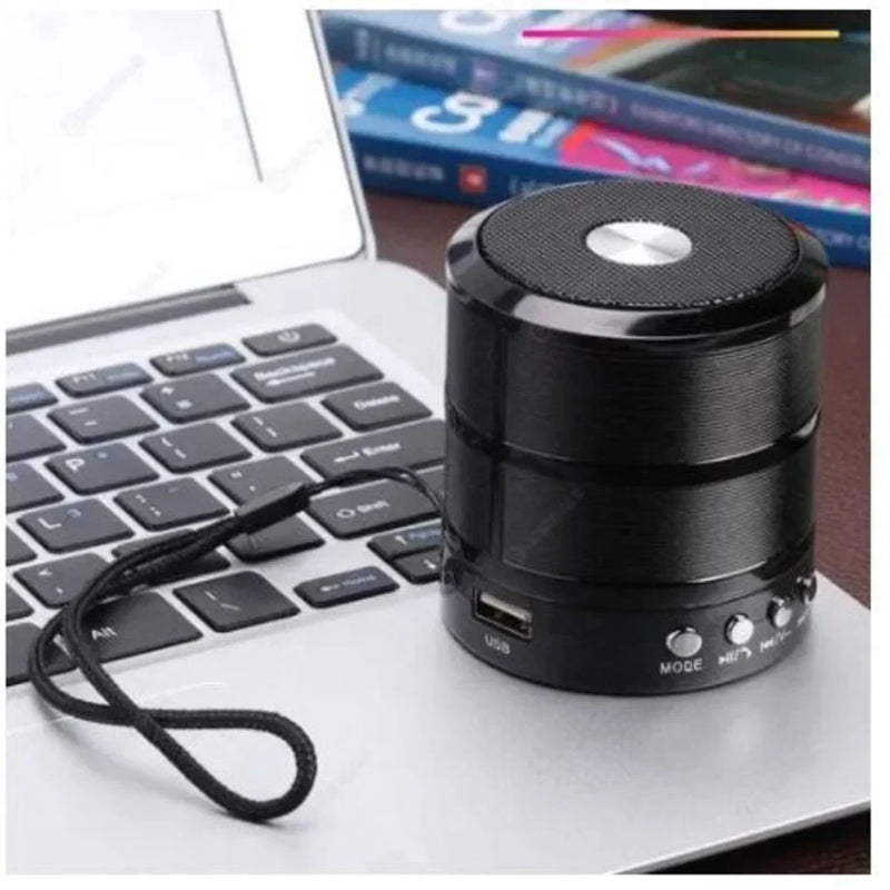 Mini Caixinha de Som Bluetooth Portátil WS-887 com Entrada USB, MP3, P2, SD e Rádio FM
